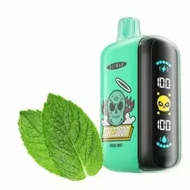 ELF BAR GH 23000 Затяжек Mint (Мята)