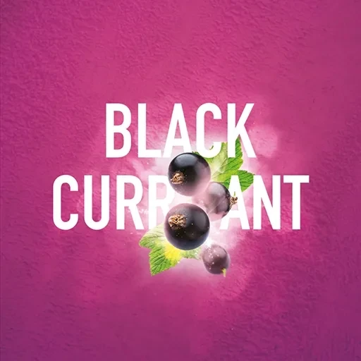 Табак для кальяна Must Have Black Currant (Черная Смородина) 25 гр