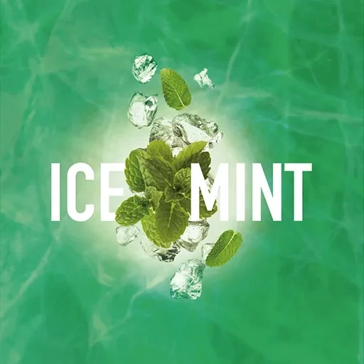 Табак для кальяна Must Have Ice Mint (Ледяная Мята) 25 гр