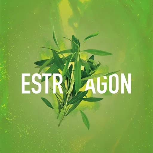 Табак для кальяна Must Have Estragon (Тархун) 125 гр
