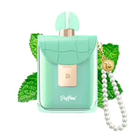 Puffmi Flora 25000 затяжек Мятный Ментос