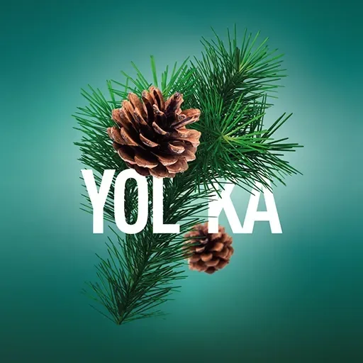 Табак для кальяна Must Have Yolka (Хвоя) 25 гр