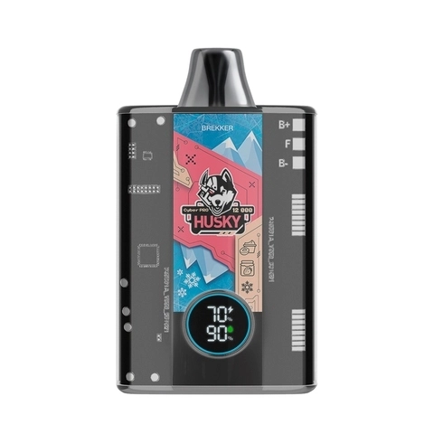 ЭСДН Cyber Pro Husky (12000) - Brekker
