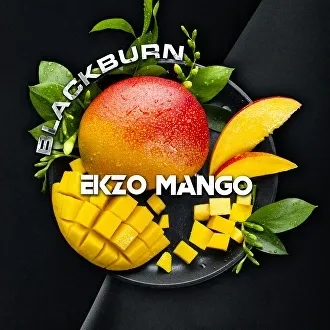 Табак для кальяна Black Burn Ekzo Mango (Манго) 100 гр