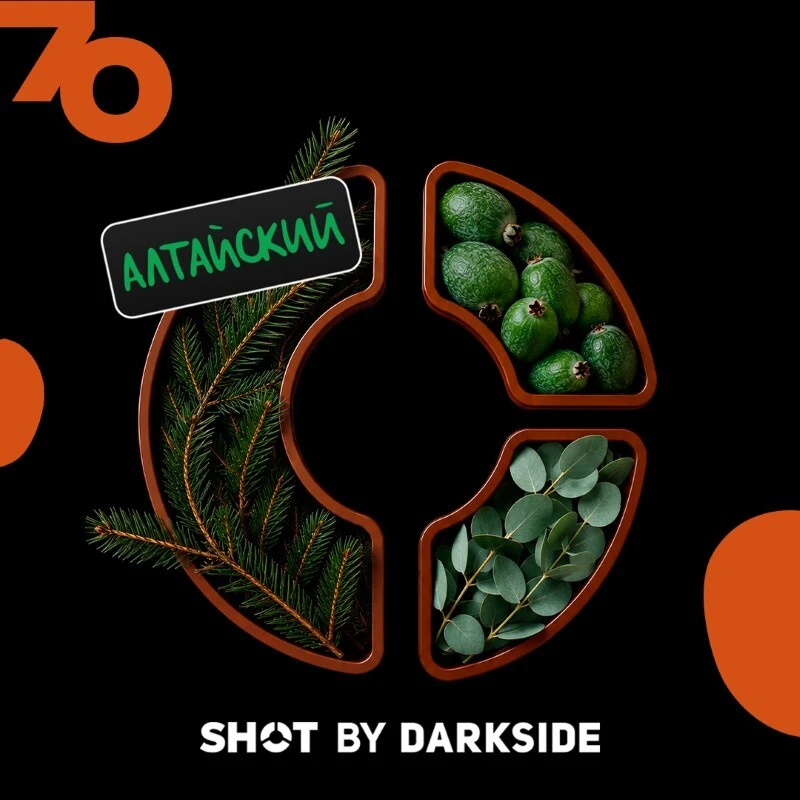 Табак для кальяна Darkside Shot 70 Хвоя Фейхоа Эвкалипт 25 гр