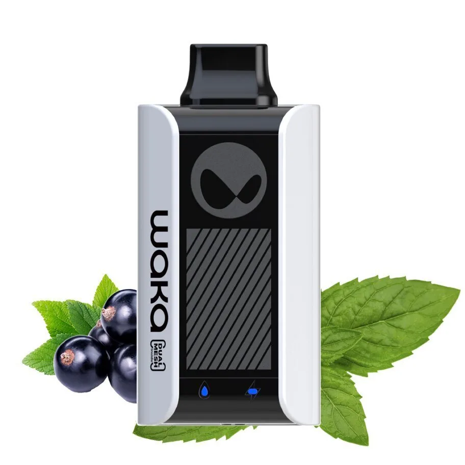 WAKA SoPro PA 10000 Затяжек Blackcurrant Mint (Чёрная Смородина Мята)
