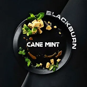 Табак для кальяна Black Burn Cane Mint (Тростниковая Мята) 25 гр