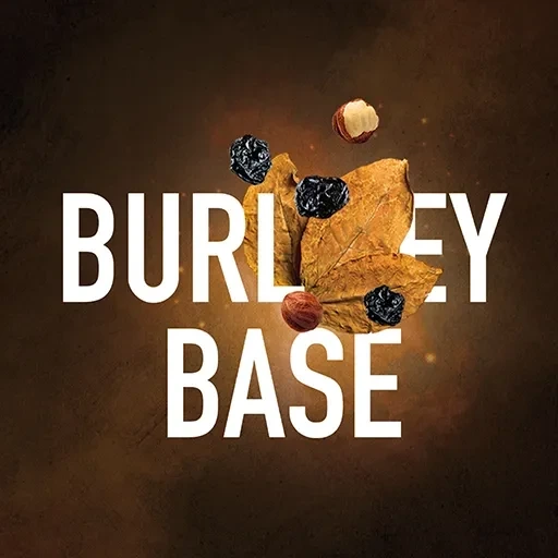 Табак для кальяна Must Have Burley Base (Чернослив Шоколад Орех) 25 гр