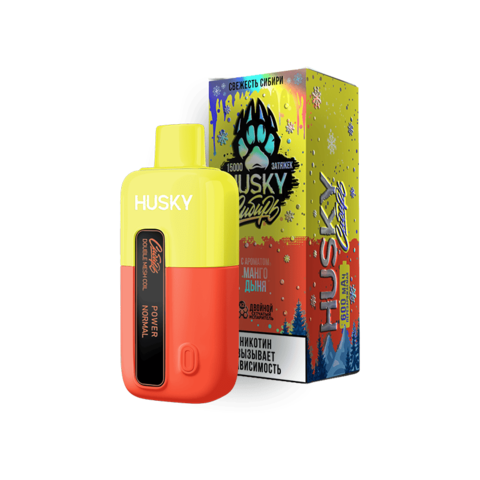 Husky X Сибирь 15000 затяжек Mango Melon (Манго Дыня)