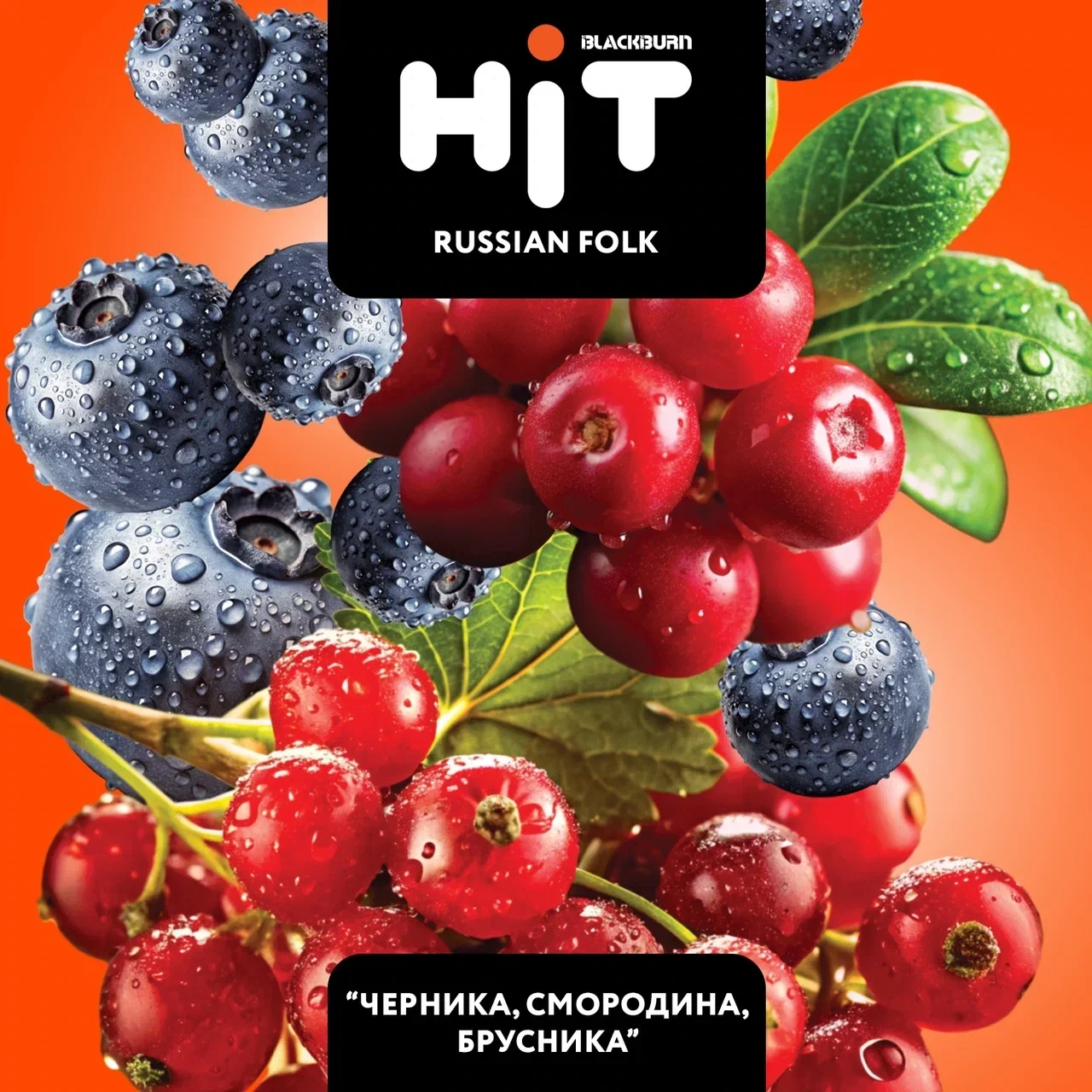 Табак для кальяна HiT Russian Folk (Черника Смородина Брусника) 30 гр