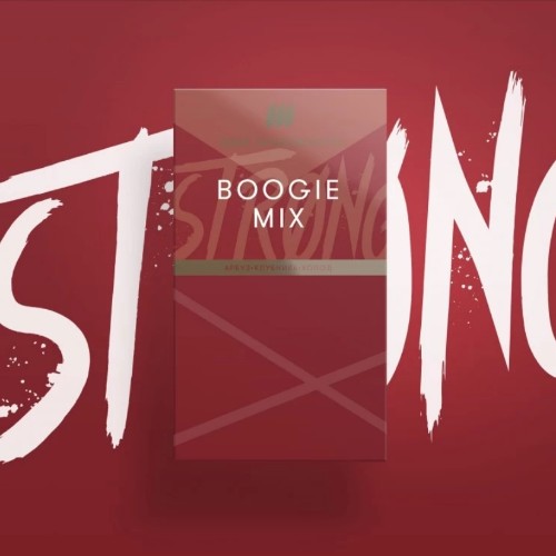 Шпаковский STRONG Boogie Mix 40 гр