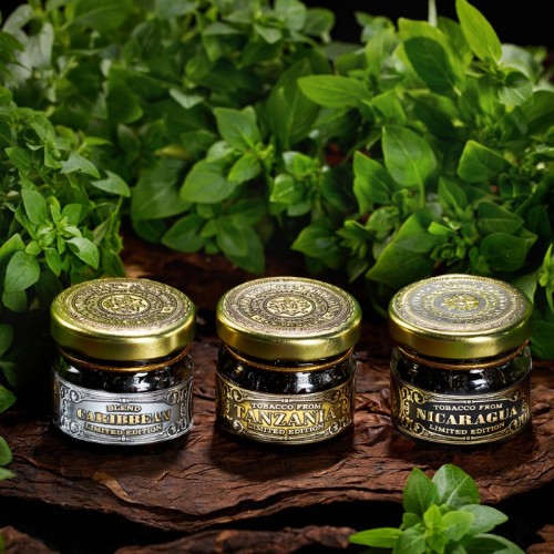 WTO NICARAGUA ЗЕЛЕНЫЙ БАЗИЛИК (GREEN BASIL) 20 гр