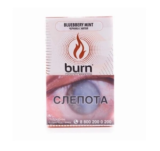 Берн (Burn) 100 г (Blueberry Mint (Черника Мята))