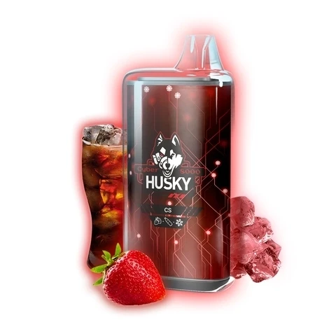 ЭСДН Husky Cyber 8000 CS