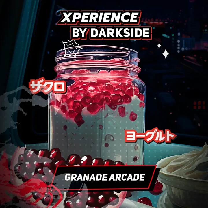 Табак для кальяна DarkSide Xperience Grenade Arcade (Йогурт Гранат) 30 гр