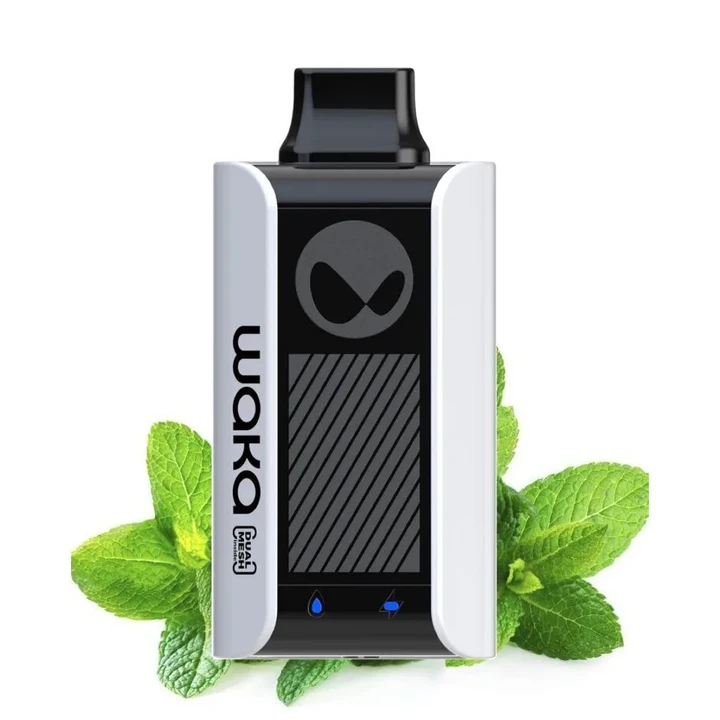 WAKA SoPro PA 10000 Затяжек Mint (Мята)