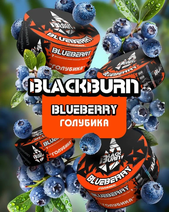 Табак для кальяна Black Burn Blueberry (Голубика) 100 гр
