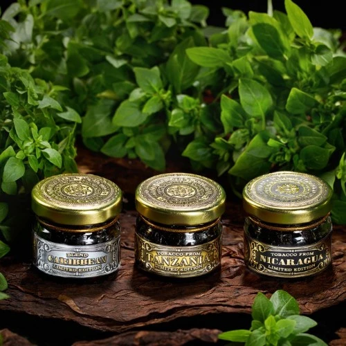 WTO NICARAGUA ЗЕЛЕНЫЙ БАЗИЛИК (GREEN BASIL) 20 гр