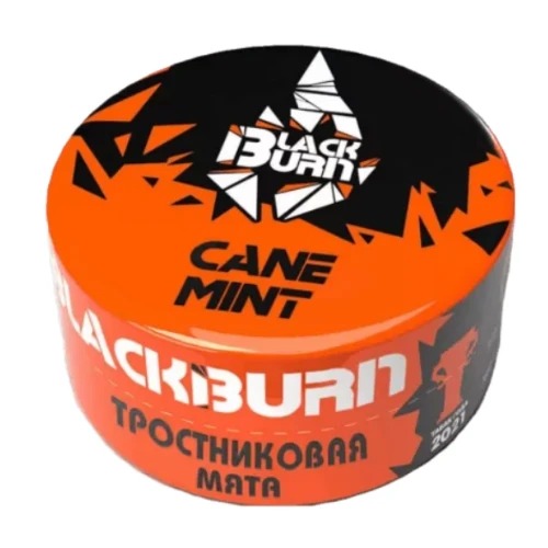 Burn BLACK Cane Mint 25гр МРК