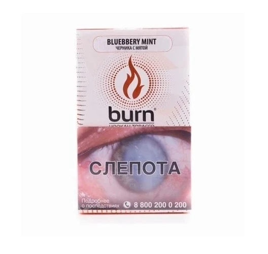 Берн (Burn) 100 г (Blueberry Mint (Черника Мята))
